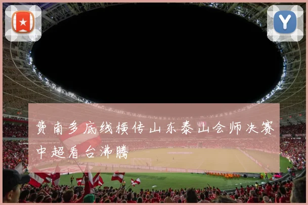 费南多底线横传山东泰山会师决赛中超看台沸腾