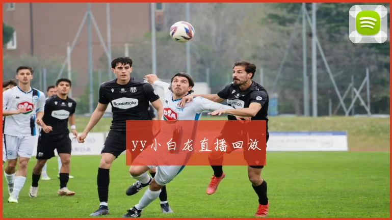 yy小白龙直播回放