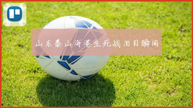 澳門足球博彩有限公司：如何安全合法参与体育投注的完整指南