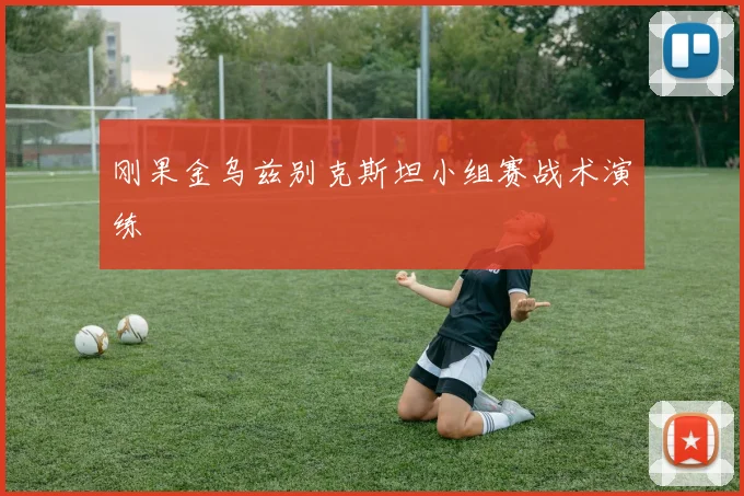 刚果金乌兹别克斯坦小组赛战术演练