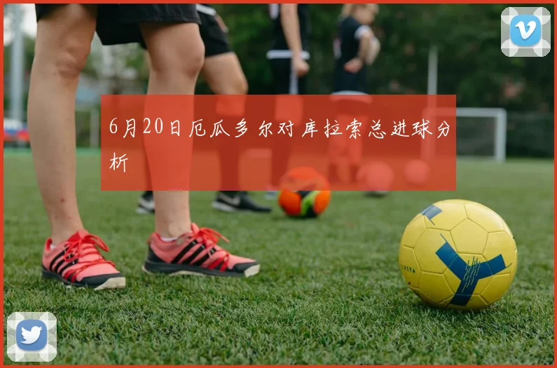 6月20日厄瓜多尔对库拉索总进球分析