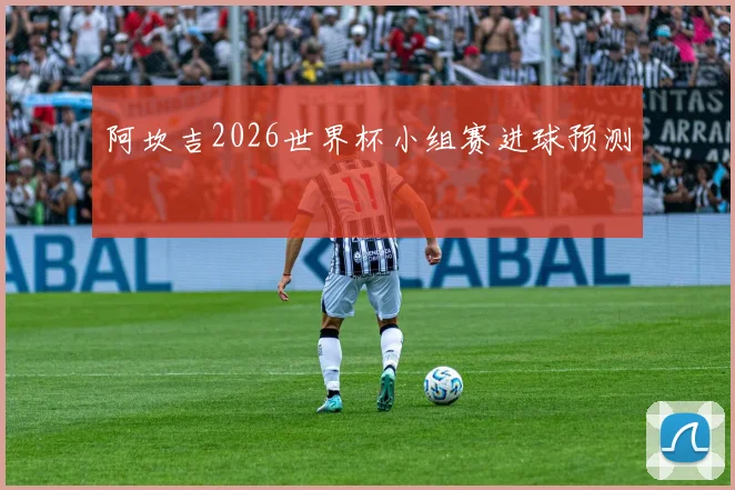 阿坎吉2026世界杯小组赛进球预测