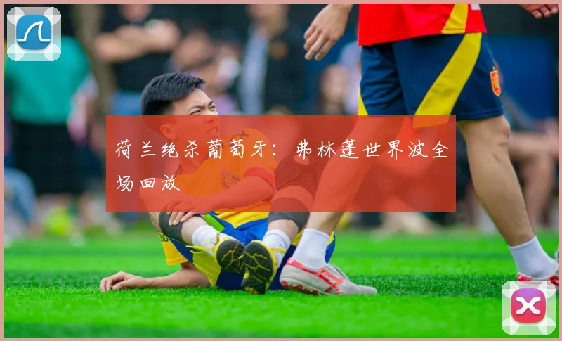 荷兰绝杀葡萄牙：弗林蓬世界波全场回放