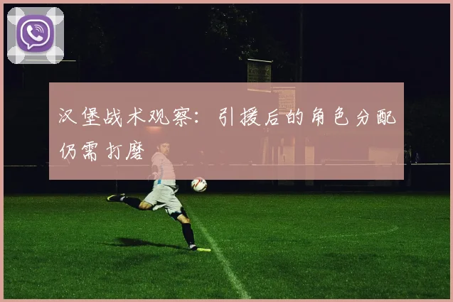 汉堡战术观察：引援后的角色分配仍需打磨