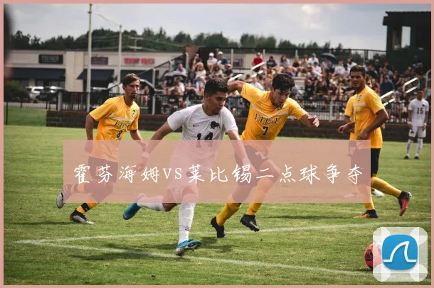 霍芬海姆vs莱比锡二点球争夺