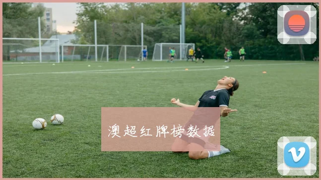 澳超红牌榜数据